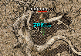 新开传奇